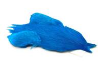 White dyed Kingfisher Blue