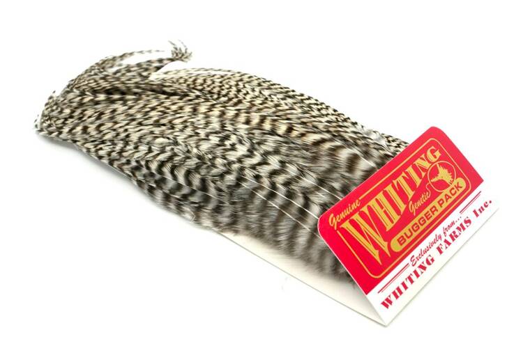 Whiting Bugger Pack Grizzly, Categories \ Fly Tying Materials \ Feathers