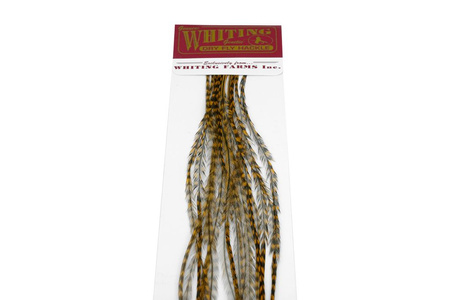 Whiting 100 Saddle Hackle Pack #16 - pióra siodłowe koguta