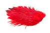 Whiting 4 B's Rooster Saddle