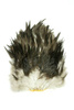 Whiting 4 B's Rooster Saddle
