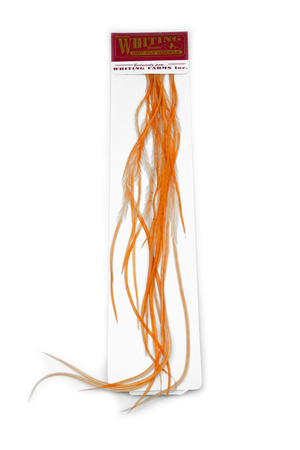Whiting 100 Saddle Hackle Pack #14 