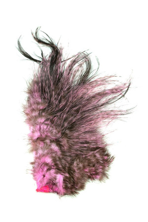 Whiting Bird Fur