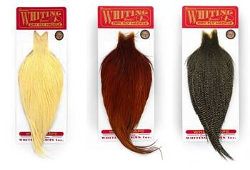 Whiting Bronze Cape - kapka koguta