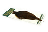Whiting Hebert Hen Cape - kapka kury