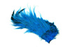 Whiting Bird Fur