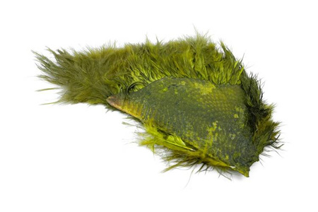 Whiting Mini Bird Fur - mini ptasia sierść