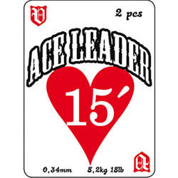 Vision Ace Leader 15'