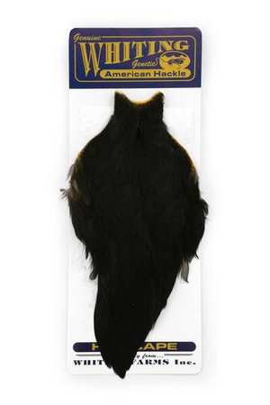 Whiting American Hen - Cape Black