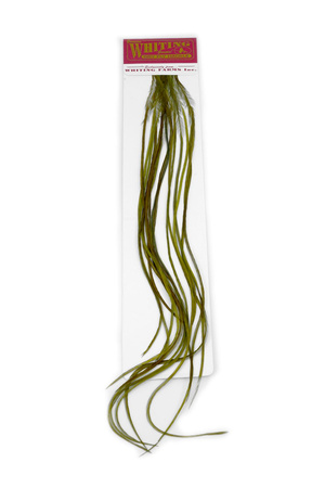 Whiting 100 Saddle Hackle Pack #14 