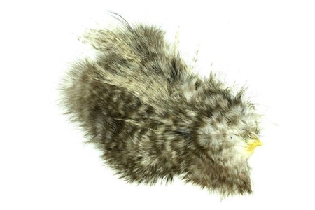 Whiting Bird Fur  - ptasia sierść