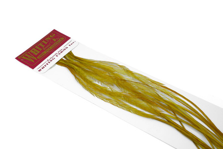 Whiting 100 Saddle Hackle Pack #14 