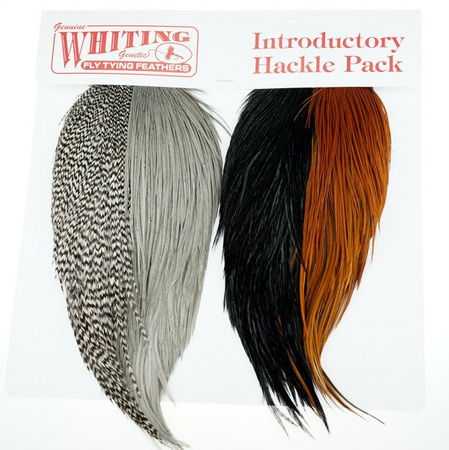 Whiting Introductory Hackle Pack - zestaw kapek koguta