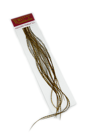 Whiting 100 Saddle Hackle Pack #16 - pióra siodłowe koguta