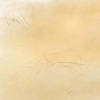 Wapsi Natural Fur Dubbing - dubbing naturalny