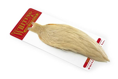 Whiting Hen Cape - kapka kury