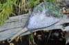 Nomad Yampa Hand Net- Shadowcast Camo