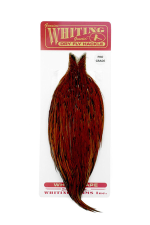 Whiting Pro Grade Cape