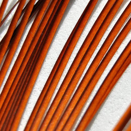 Top Fly Stripped Peacock Quill