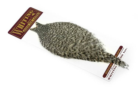 Whiting Coq de Leon Rooster Cape - kapka koguta Coq de Leon
