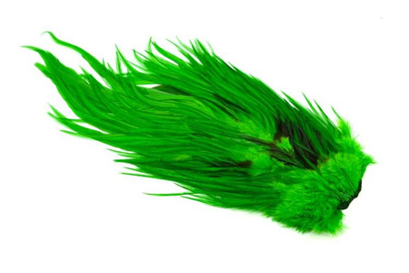Whiting 4 B's Rooster Saddle - siodło koguta