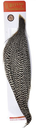 Whiting Bronze 1/2 Cape - Grizzly