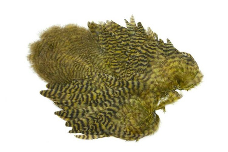 Whiting Soft Hackle with Chickabou 