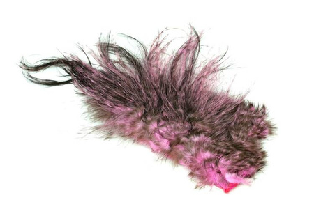 Whiting Bird Fur