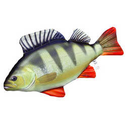 Okoń