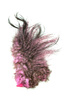 Whiting Bird Fur