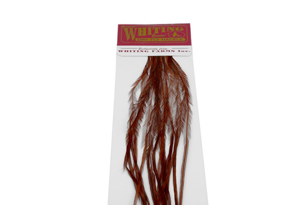 Whiting 100 Saddle Hackle Pack #14 - pióra siodłowe koguta