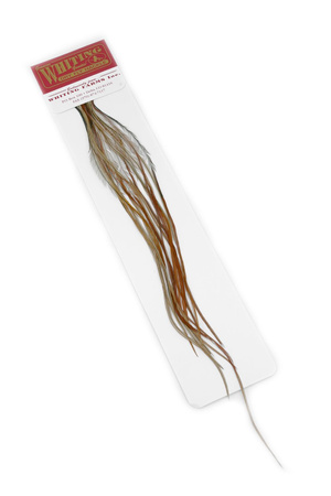 Whiting 100 Saddle Hackle Pack #18 - pióra siodłowe koguta