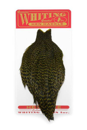 Whiting Hen Cape Grizzly dyed Olive
