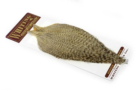 Whiting Coq de Leon Rooster Cape - kapka koguta Coq de Leon