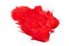 Whiting Soft Hackle with Chickabou