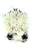 Whiting 4 B's Rooster Saddle