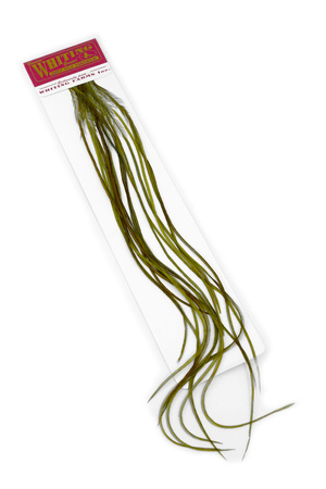 Whiting 100 Saddle Hackle Pack #14 