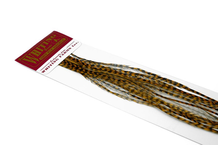 Whiting 100 Saddle Hackle Pack #16 - pióra siodłowe koguta
