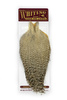 Whiting Coq de Leon Rooster Cape - kapka koguta Coq de Leon