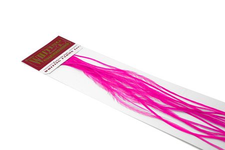 Whiting 100 Saddle Hackle Pack #14 - pióra siodłowe koguta