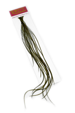 Whiting 100 Saddle Hackle Pack #14