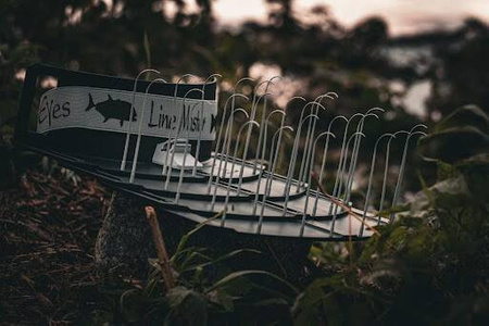 Line Master Easy Shrimp Eyes – kosz na linkę  