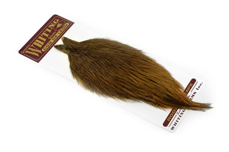 Whiting Coq de Leon Cape 