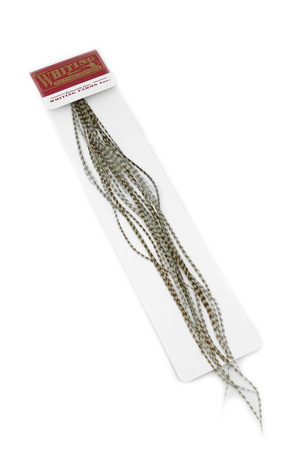 Whiting 100 Saddle Hackle Pack #14 - pióra siodłowe koguta