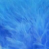 Peacock Blue