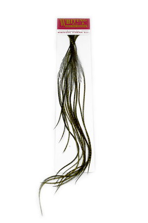 Whiting 100 Saddle Hackle Pack #14