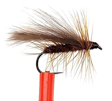 CDC Caddis 03
