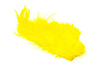 Whiting Bird Fur  - ptasia sierść