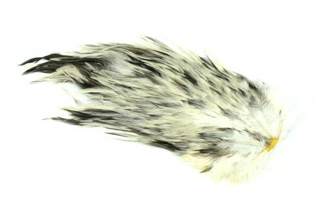 Whiting 4 B's Rooster Saddle - siodło koguta