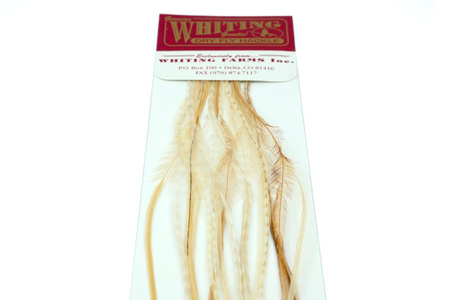 Whiting 100 Saddle Hackle Pack #14 - pióra siodłowe koguta